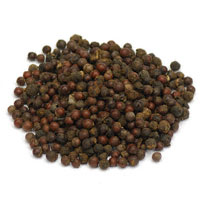 Cubeb Berry 1 Oz. (Piper cubeba)